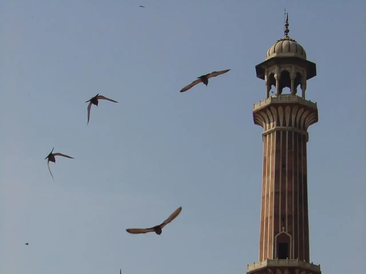 Exploration Guide for Keoladeo National Park, Rajasthan: An In-Depth Look at Flora, Fauna, and...