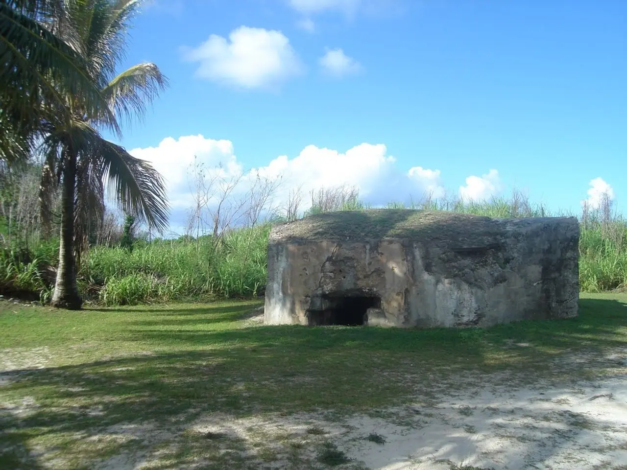 Airports Near Mammoth Cave National Park: Top 5 Options