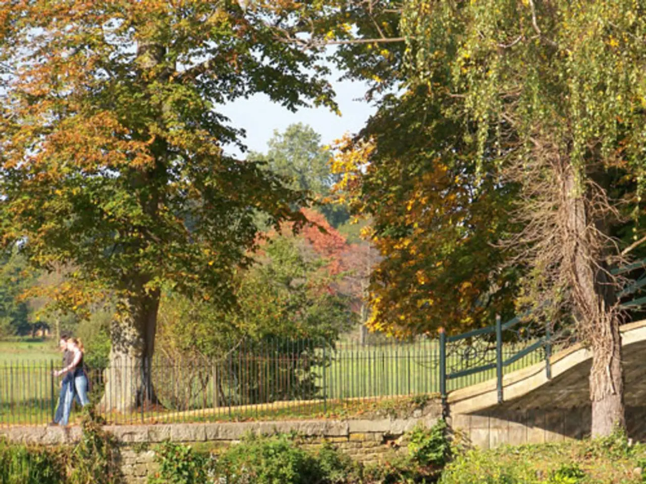 Celebrating Friendship Day 2025: A Haphazard Hike Transformed into an Eternal Brotherhood