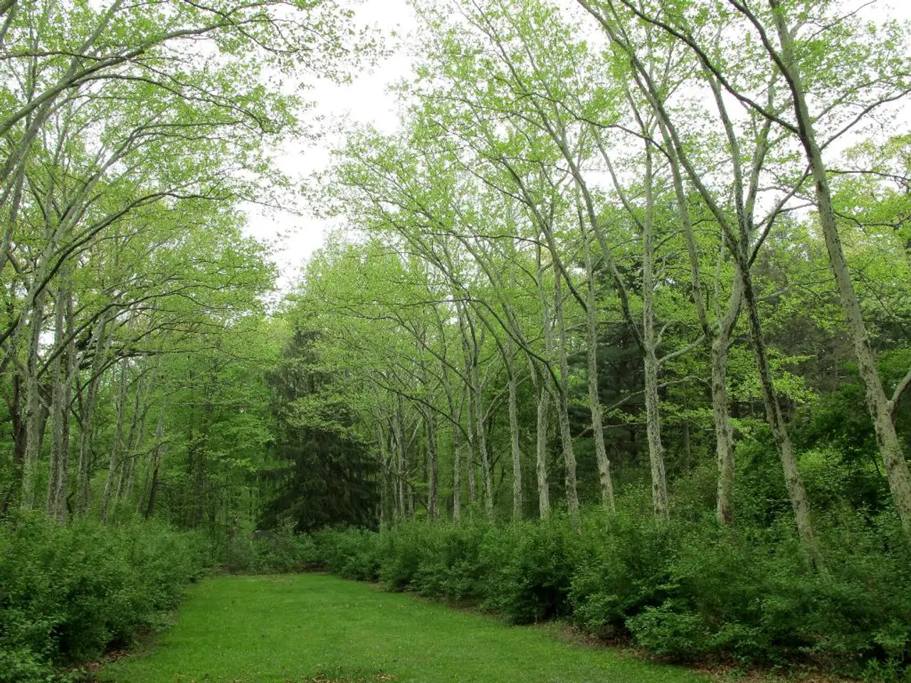 Visit from Swabian Alb representatives to Rhön for knowledge exchange and natural exploration