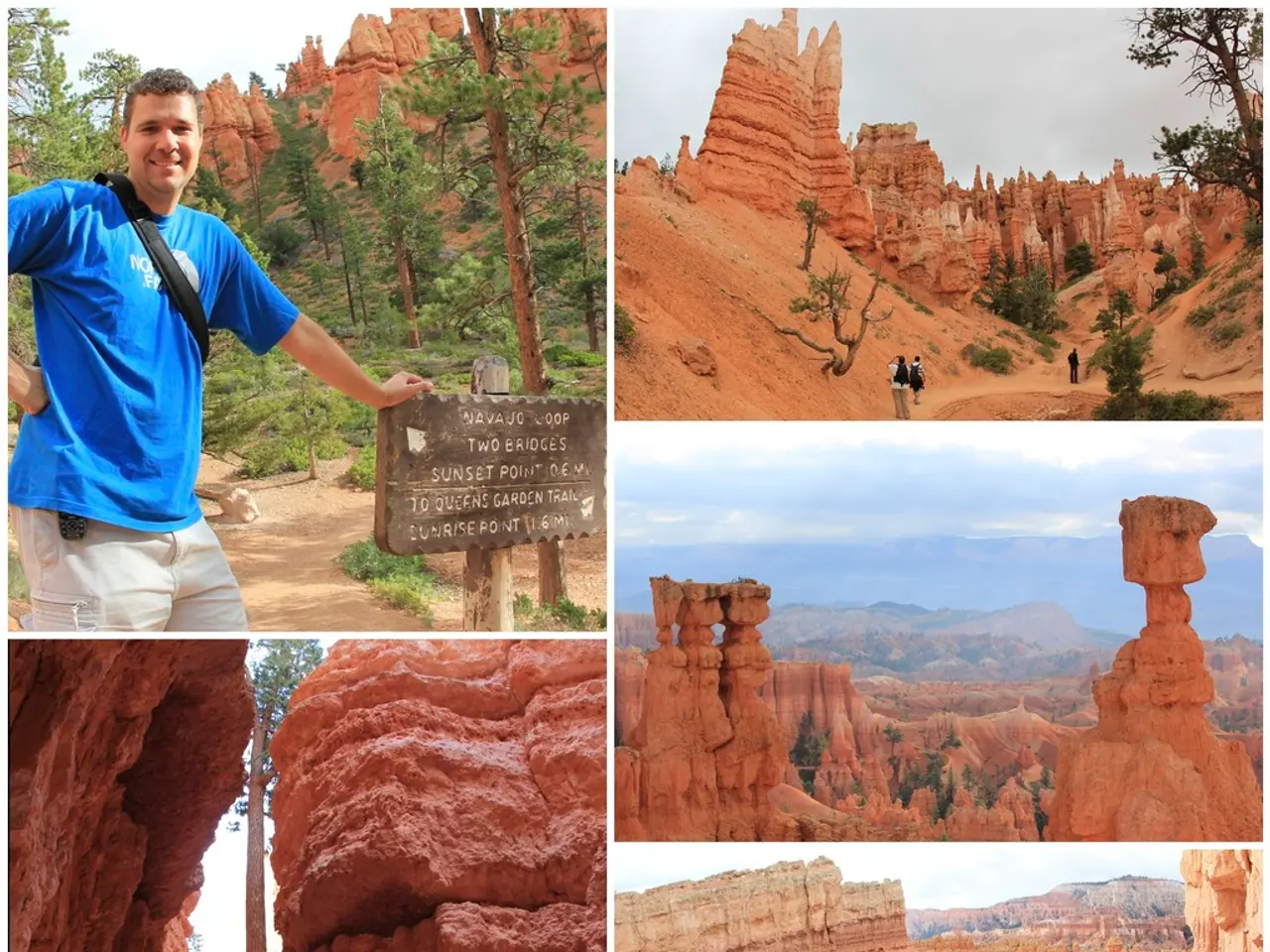 Restoration efforts by volunteers focus on rejuvenating countless cultural artifacts salvaged from...