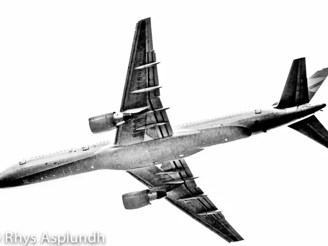 Return journey transported 69 individuals from Israel to Portugal