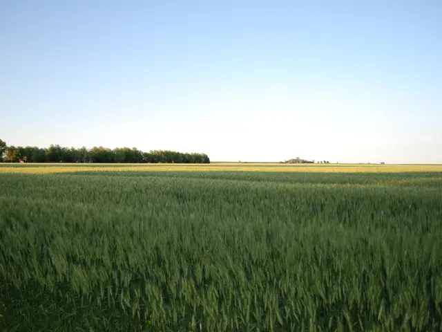 Instructions for Obtaining a Visa for Cambodia for Citizens of India and Ireland