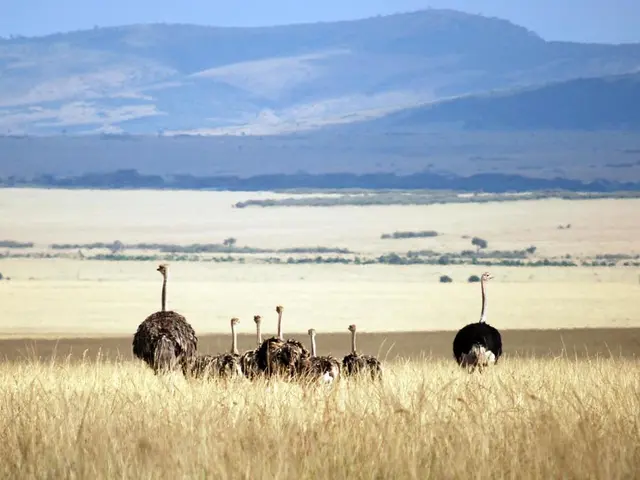 Farm in Tbilisi district commences welcoming tourists