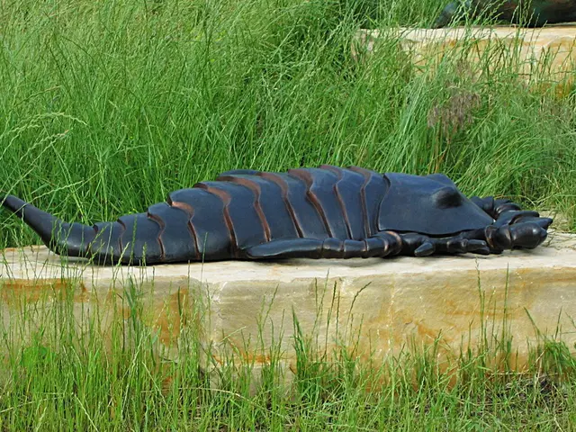 Are Aquarius Men and Scorpio Women Harmonious in Romantic Relationships?