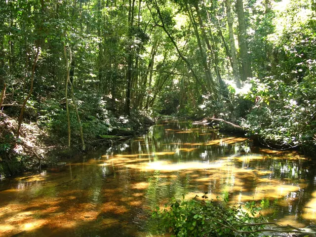 Unveiled Secrets and Little-Known Facts About the Panama Canal