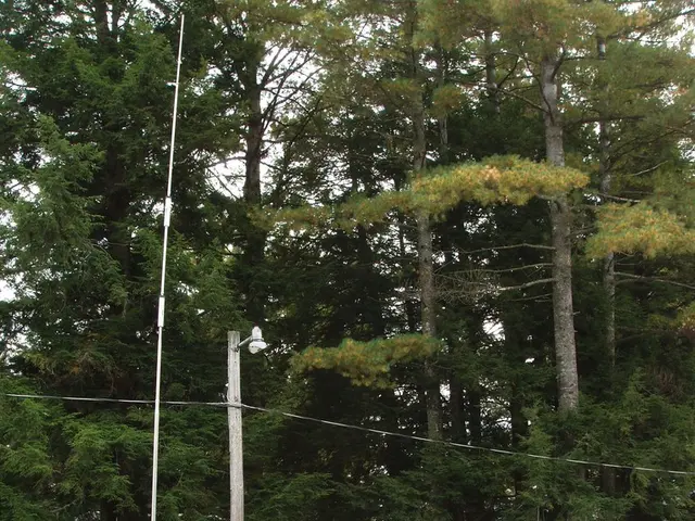 Travel season approaches: Police set standards for motorhomes and trailers on July 2, 2025, in...