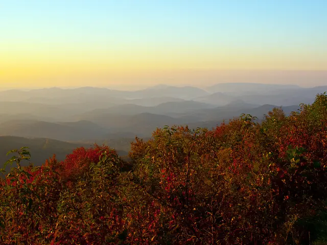 Explore Shenandoah National Park, a breathtaking natural haven that awaits your discovery!