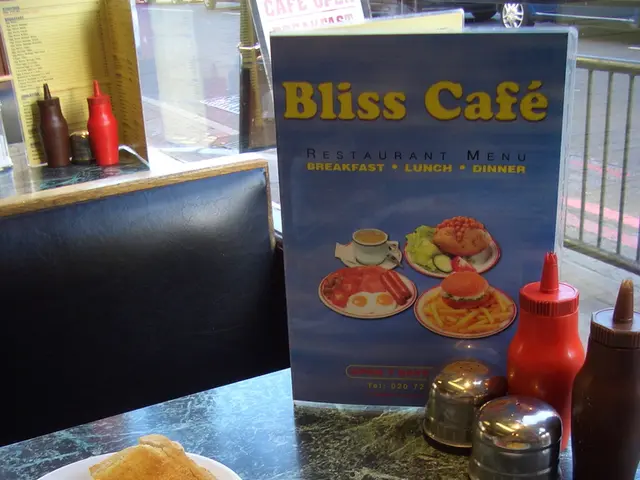 Premium In-Flight Dining - Meal Options from Leading Airlines