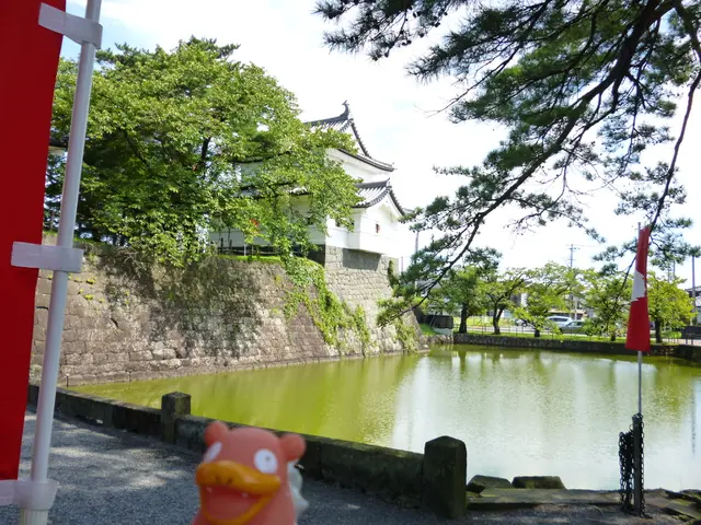 Stunning City in Baden-Württemberg Showcases Enthralling Charm