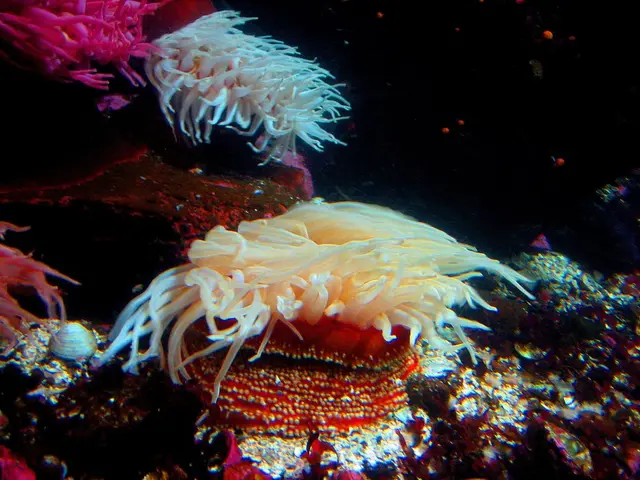 Ocean Diver Extraordinaire: Harvesting Organics beneath the waves with Eric Fritz