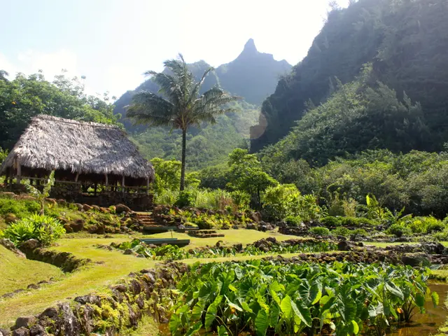 Nose bridge discomfort: Root causes and solutions