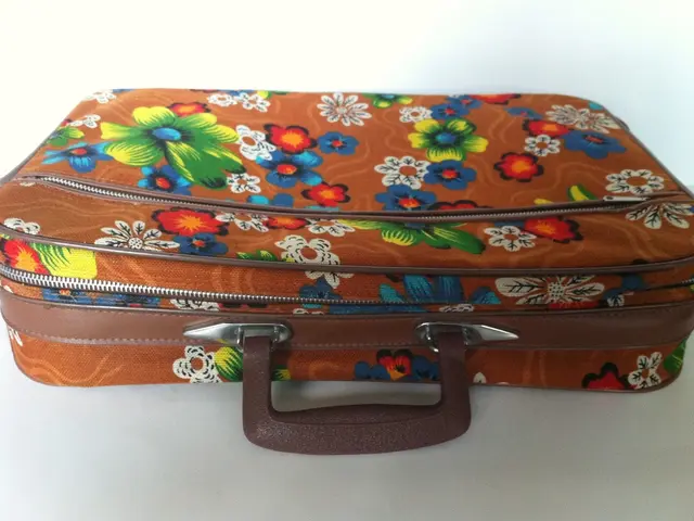 Timeless Voyage: Revival of Vintage Luggage – Important Facts for Potential Purchasers