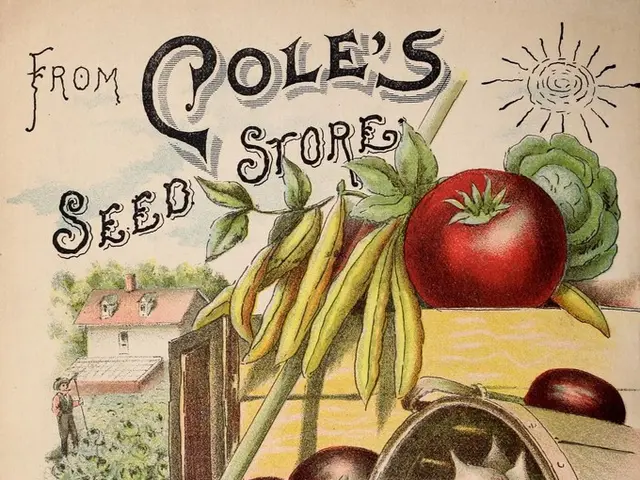 Diverse Assemblage: August 2018 Edition