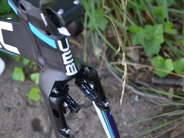 Open biking route across the Romania-Serbia border available during the final weekend of July