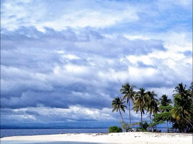 Calm City in California Situated among San Diego and Carlsbad, Offers Beaches and Coastal...