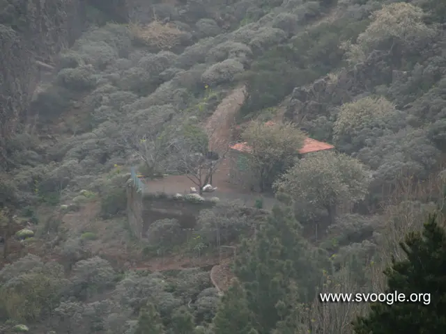 Reimagining the Safari Experience: A Unique Perspective at Ngorongoro Crater's Lemala Osonjoi Lodge