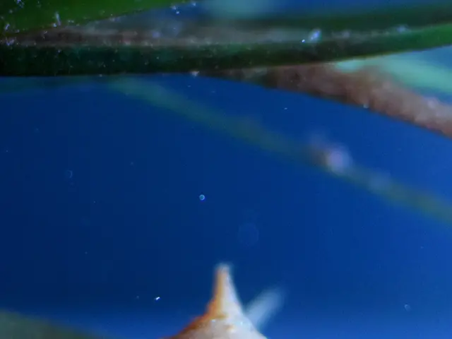 New Patent Application Outlines Innovative Approach for Identifying Poisonous Substances in Natural...