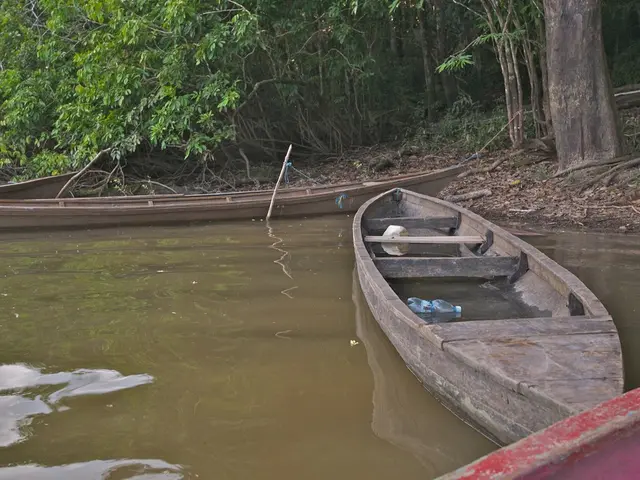 Three Unique Finds Unveiled: A Thrilling Whale-Watching Adventure in Mexico, a Fashionable Wine...