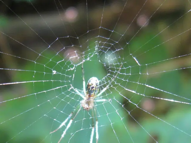 Exploring the Pros and Cons of Using Stock Images