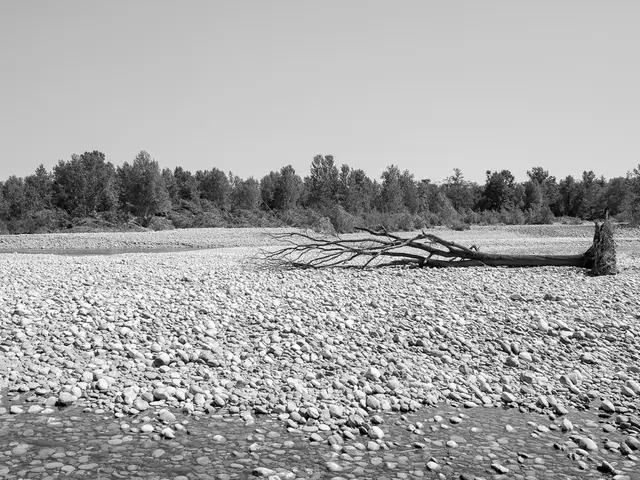 Oregon's Standout Spot for Thunderegg Mining: Richardson Rock Ranch