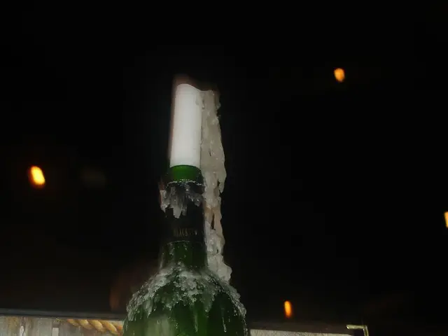 Airlines Implement Strict Screening Measures for Travelers During Holiday Season