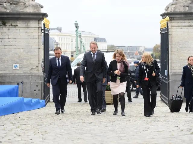 Baggage Policies of American Airlines and Their Effects on Frequent Travelers - Comprehensive...