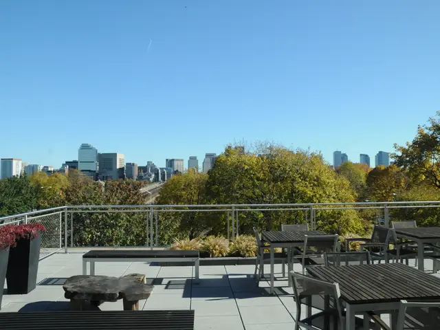 Ibiza's latest eatery has a gallery-like ambience, offering a dining experience that is reminiscent...