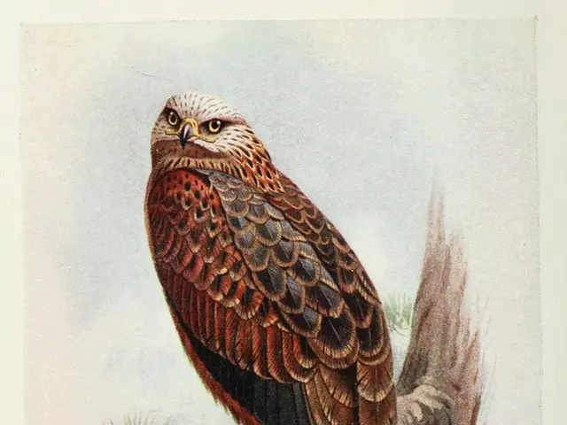 Interpreting the symbols within your slumber