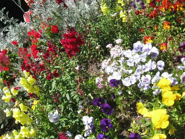 Latest Developments Happening Continuously