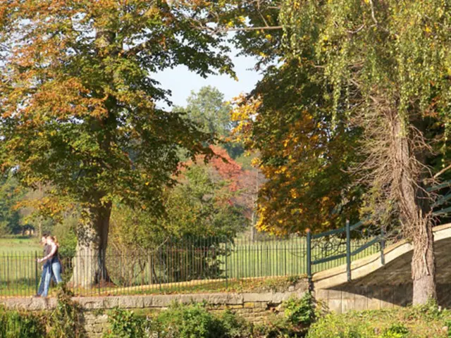 Celebrating Friendship Day 2025: A Haphazard Hike Transformed into an Eternal Brotherhood