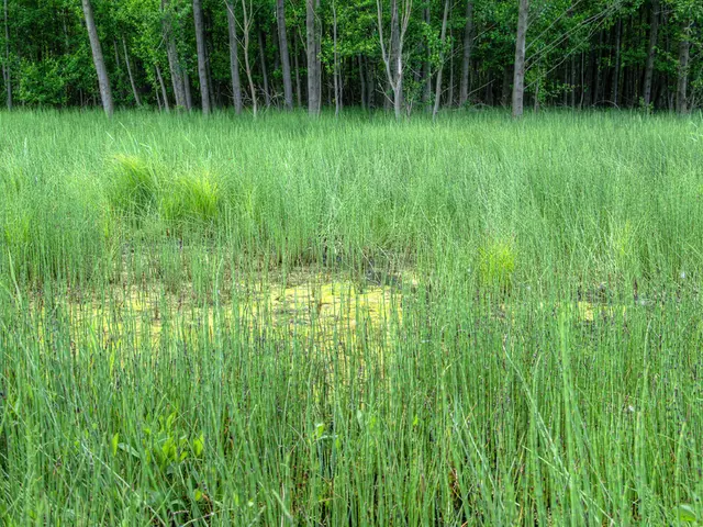 Fresh Financial Investments for Quorn, Mara Renewables, and NZN; Barry Callebaut Examines Plant...