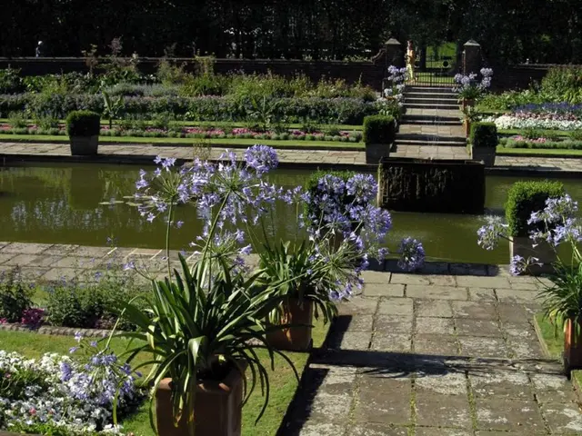 Thriving Aquatic Flora: Cultivating Plants in Wet Terrain