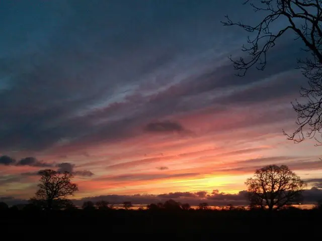 Exploring Color Psychology's Impact on Visual Storytelling in Photography