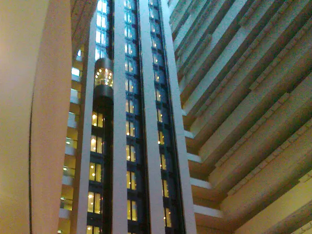 Understanding the Correct Usage: Raise vs. Rise