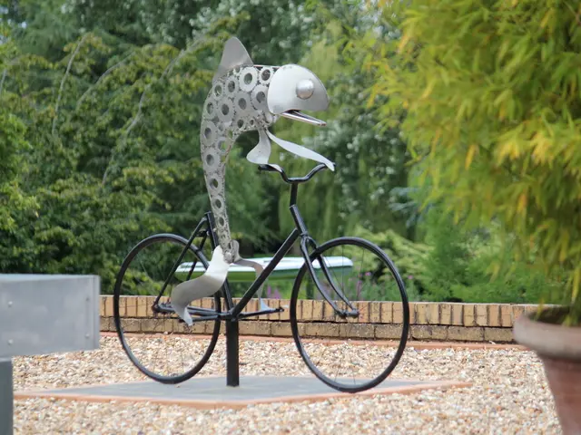 Comprehensive Guide to Fishing in Tortola, the Angler's Paradise