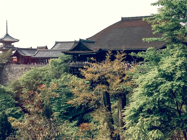 Llama found near ancient Incan citadel of Machu Picchu, situated in 15th-century Peru.
