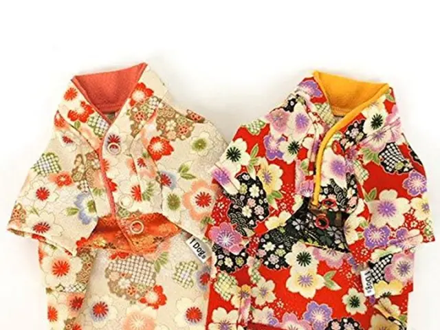 Seven Summer-Appropriate Dress Styles to Explore