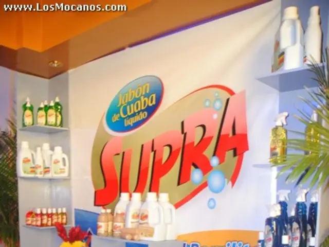 Brand Image Blueprints: Including Guidelines, Recommendations, and Illustrative Samples for...