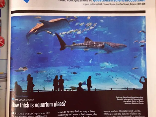 Spiritual Language Explored