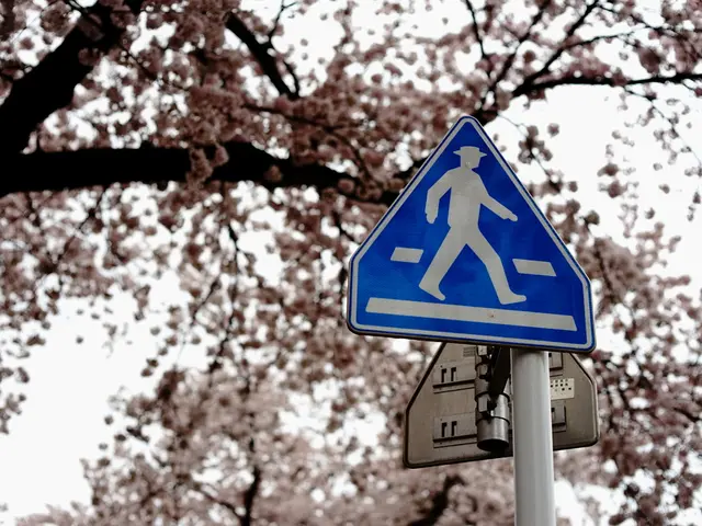 Top 12 Nature-Based Mindfulness Aids Encouraging Astonishment on a Daily Basis