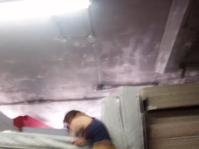 Uncovered discoveries in our most recent mattress evaluations