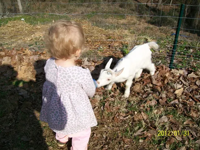 Weeklong Celebration of Green Wood: A Seven-Day Affair