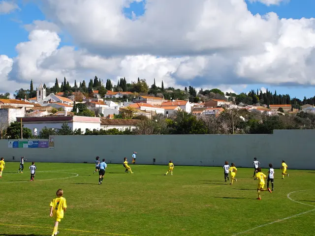 Methods that engaging in outdoor play can bolster communication abilities essential for practical...