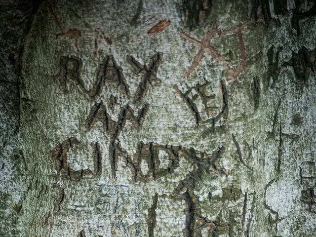 CDU leader Slawig anticipates resolution for long-standing liabilities