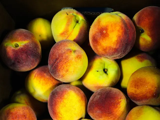 Globally, Apple innovation uncovers fresh avenues for distribution