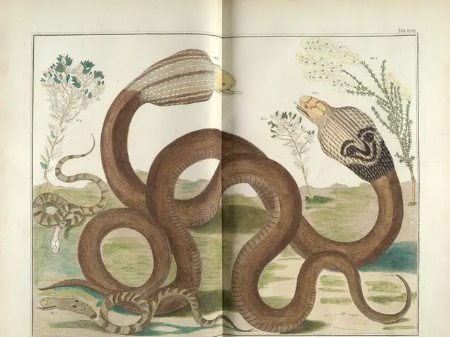 Snapshots Celebrated and Feared: Acclaimed Photographs Depicting Rattlesnakes