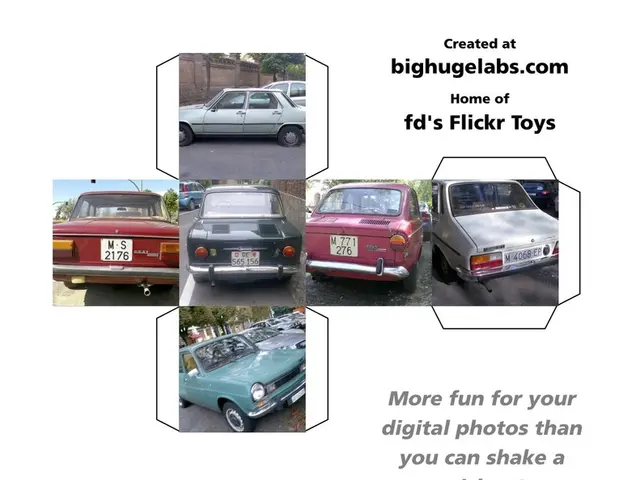 Strategies for maintaining safety during wet driving conditions in the Central Valley