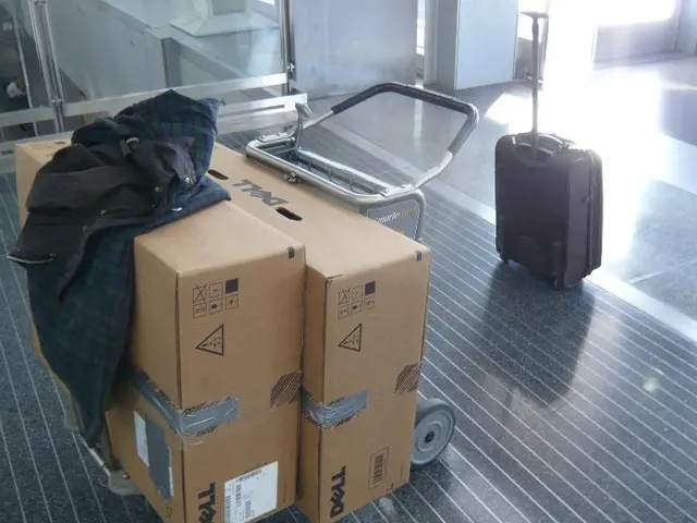 Global Tech Gadget's Limited Efficiency in Cross-Border Journeys Unveiled