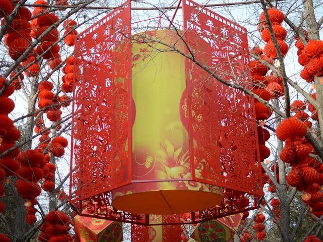 In this image there are Chinese lanterns hanging to the trees, and in the background there is sky.